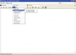ie7-pop-up-settings.png