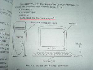 komp_for_woman2.jpg