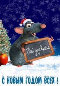 rat-ny-2008.jpg
