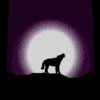 images/avatars/avatar-38.gif